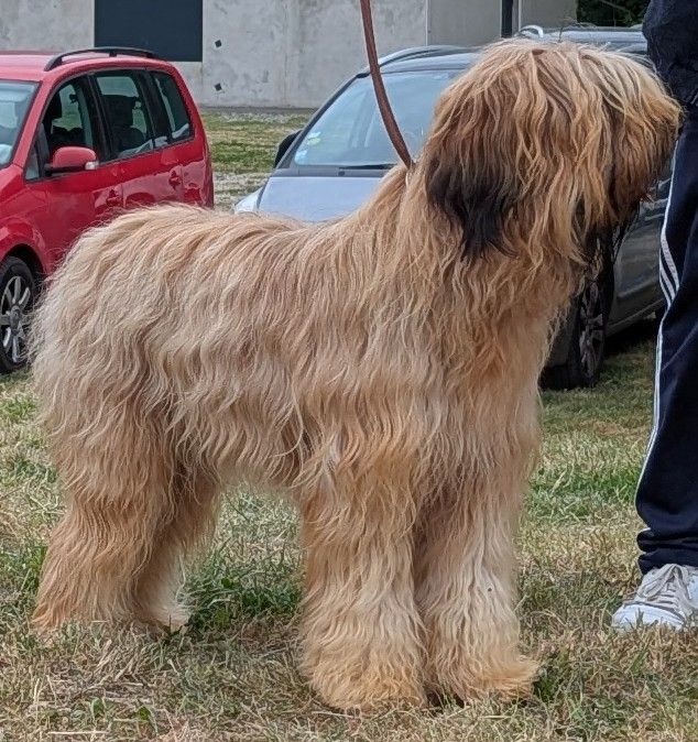 Ultime des gardiens du petit ange
