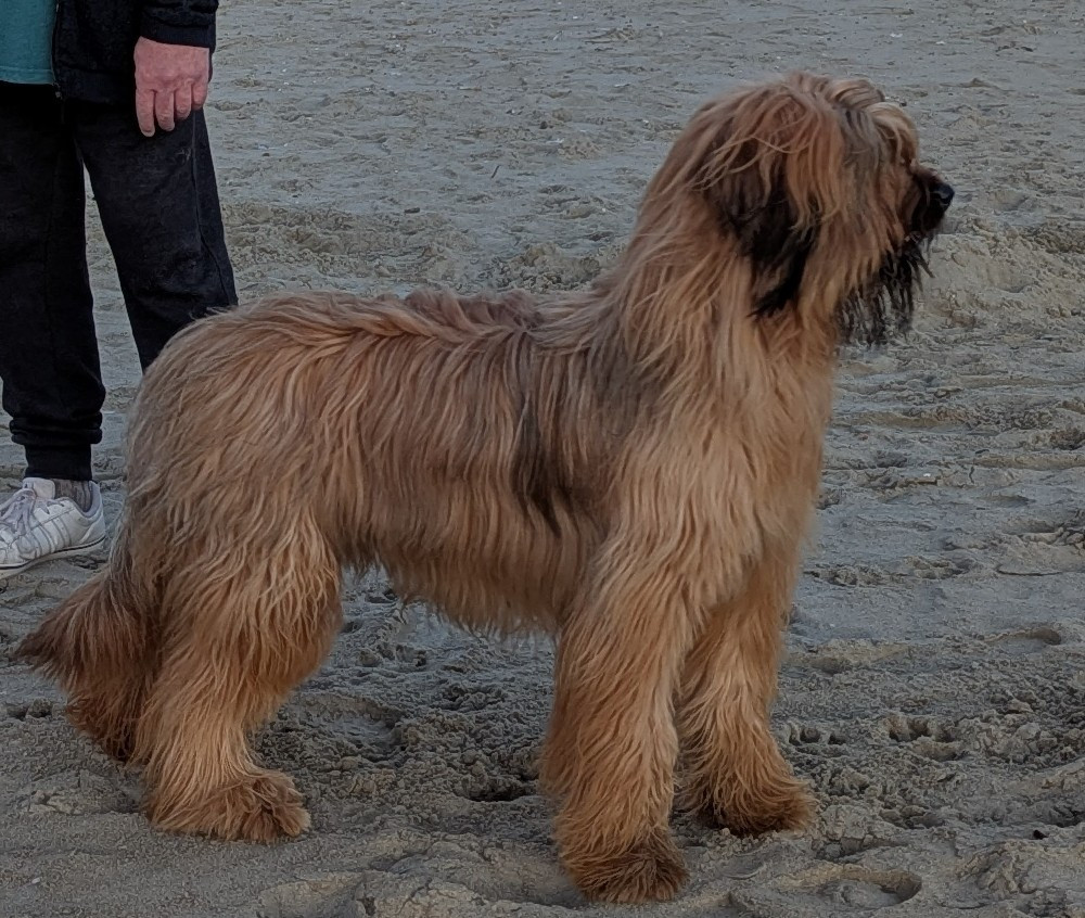 VERSAILLES des gardiens du petit ange