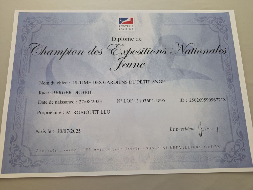 ULTIME DES GARDIENS DU PETIT ANGE